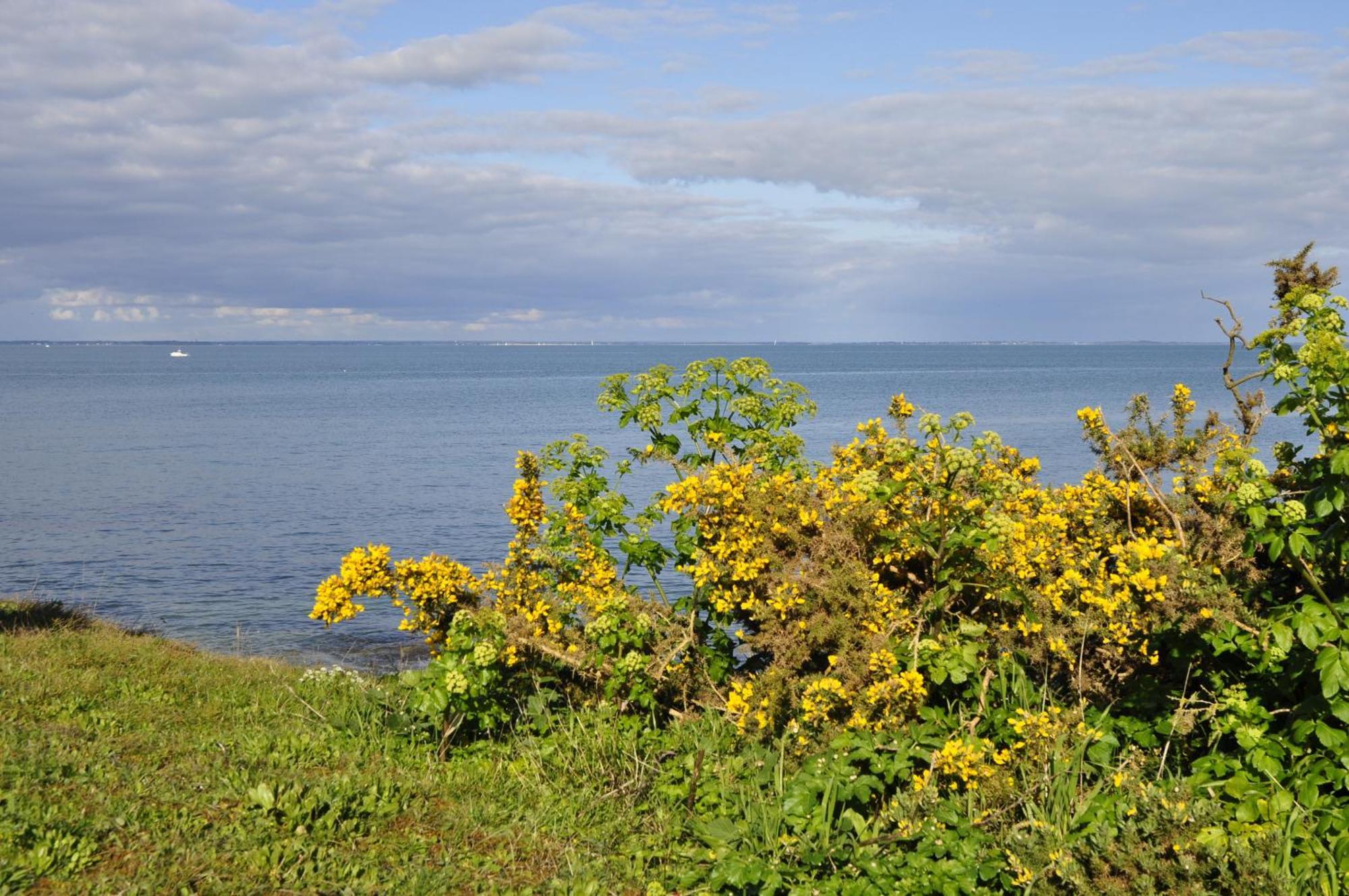 Panorama Vue Mer Quiberon Room photo